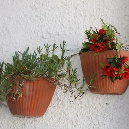 Casa vacanze Stella's House