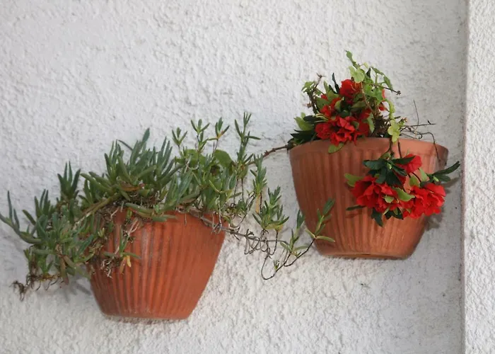 Casa de Férias Stella's House